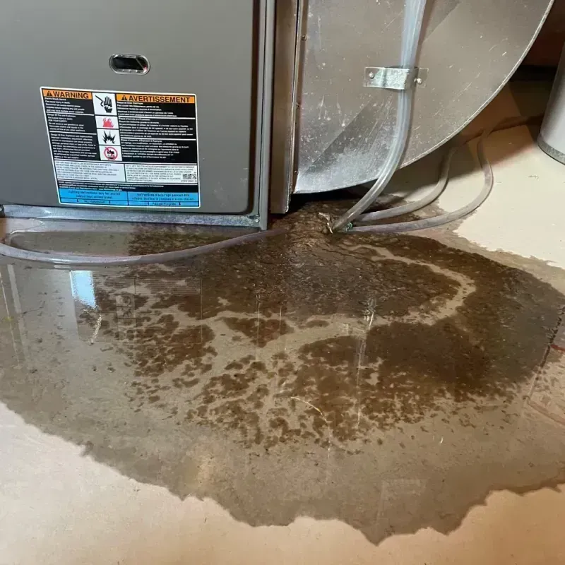 Appliance Leak Cleanup in Aurora, CO